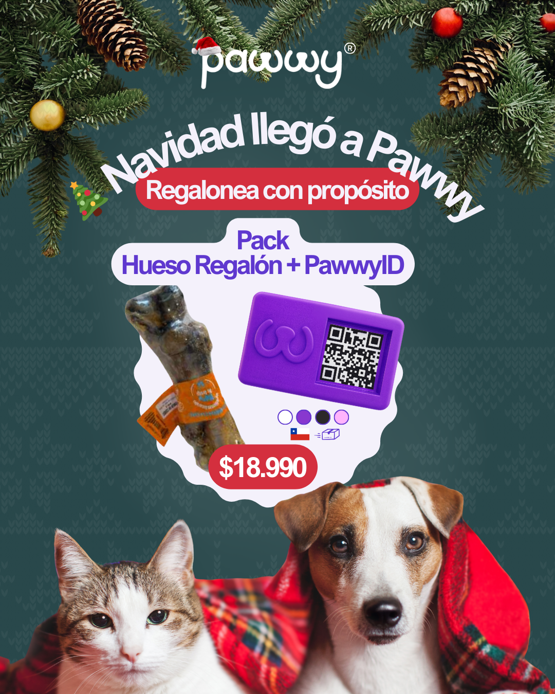 🎄Pack: Hueso Regalón + PawwyID