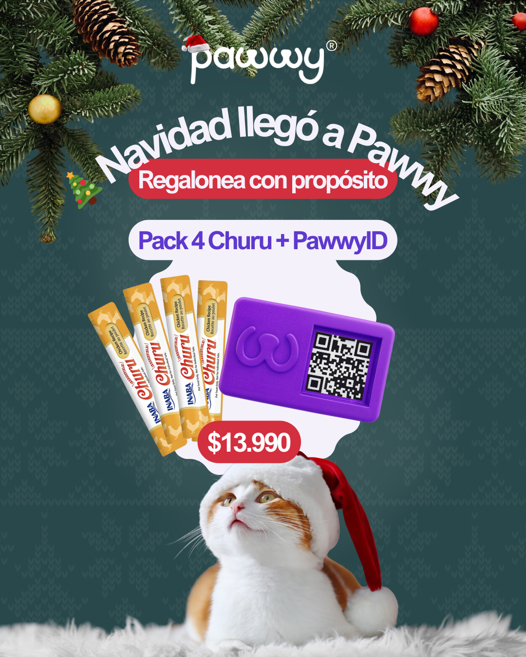 🎄Pack: 4 Churu + PawwyID