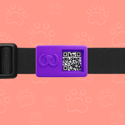 Pawwy ID – Identificación inteligente para tu mascota