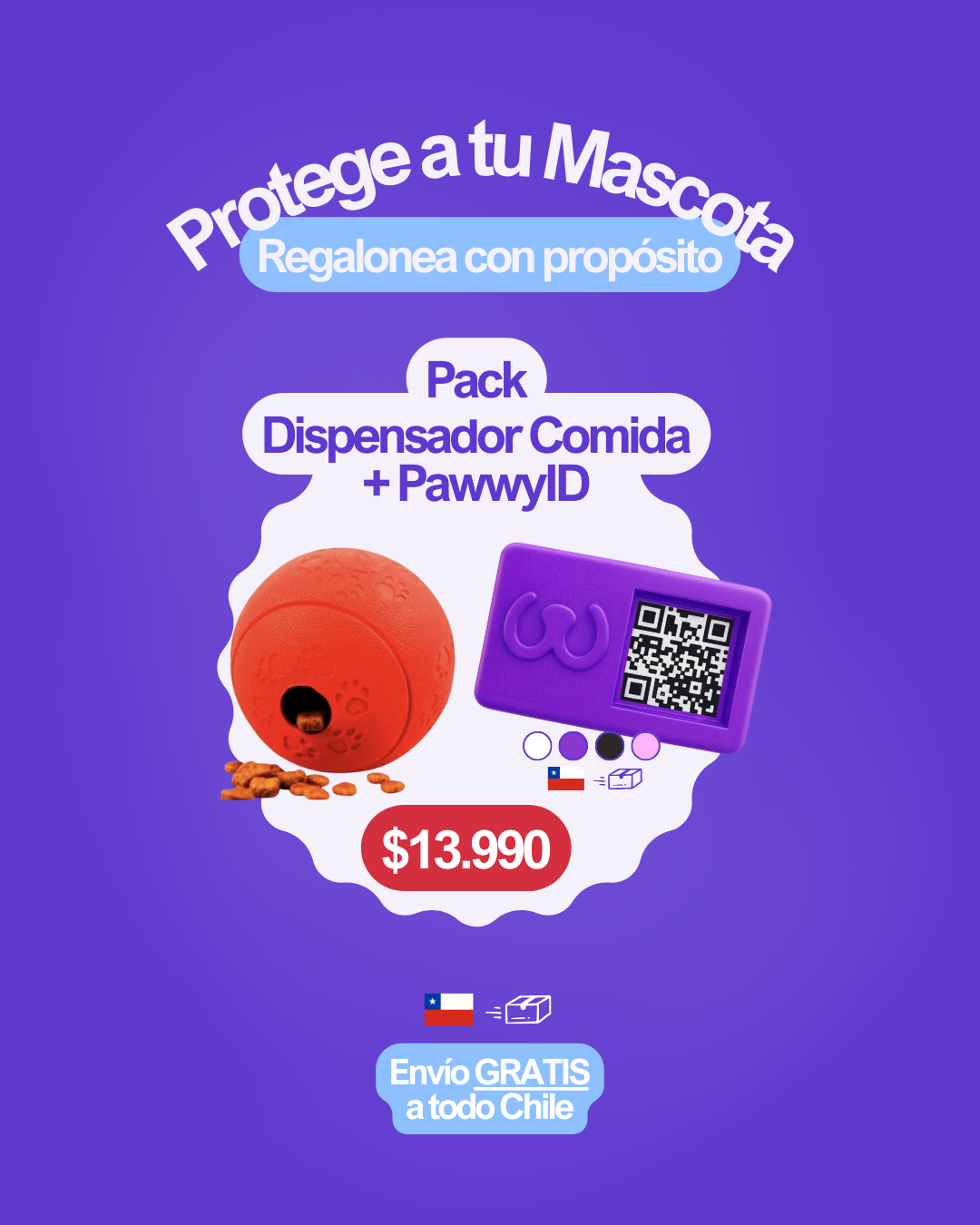 Pack: Dispensador Comida + PawwyID