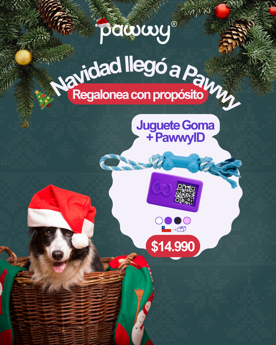 🎄Pack: Juguete Goma + PawwyID