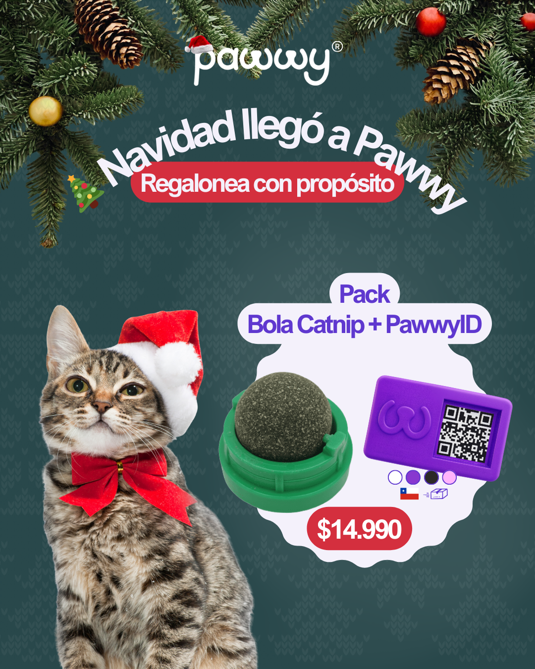 🎄Pack: Bola Catnip + PawwyID