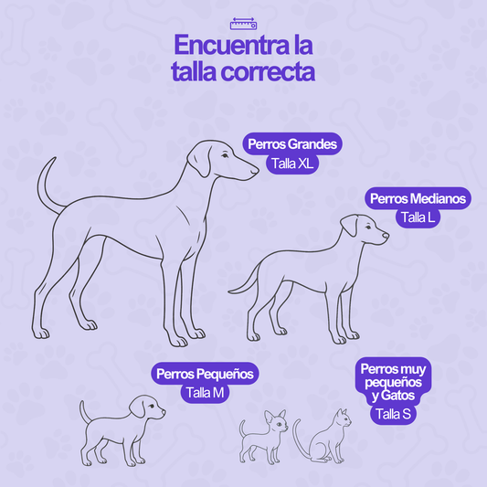 Placa de Identificación - Pawwy ID - QR, Perfil, Carnet de Vacunas y mucho más