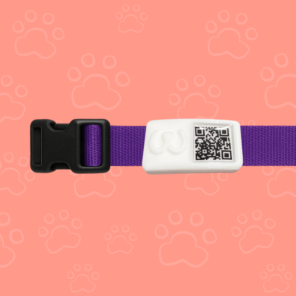 Pawwy ID + Collar
