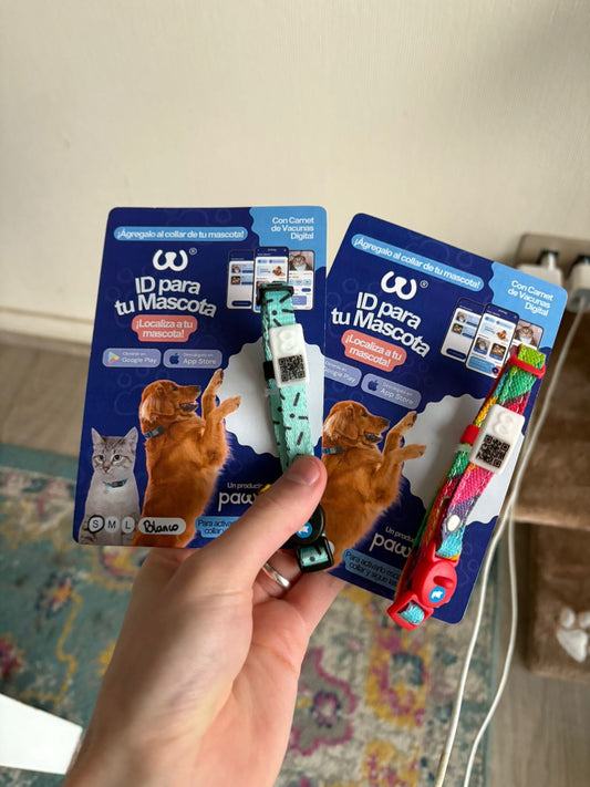 Pawwy ID + Collar