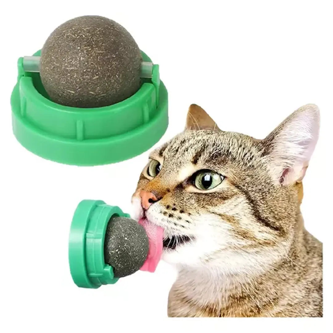 Bola Catnip