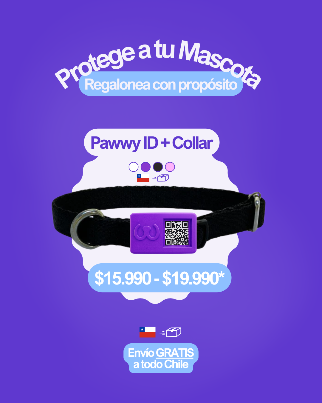 Pawwy ID + Collar