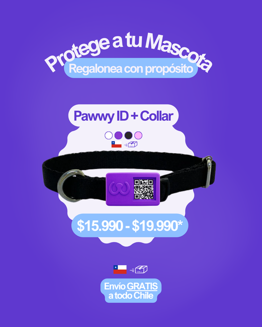 Pawwy ID + Collar