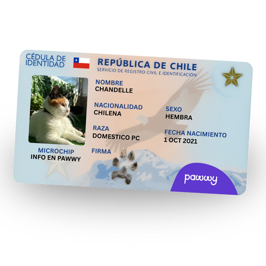 Versión Billetera Carnet Mascotero Pawwy