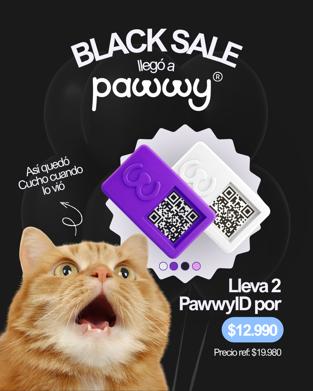 CYBER 2 Pawwy ID – Identificación inteligente para tu mascota