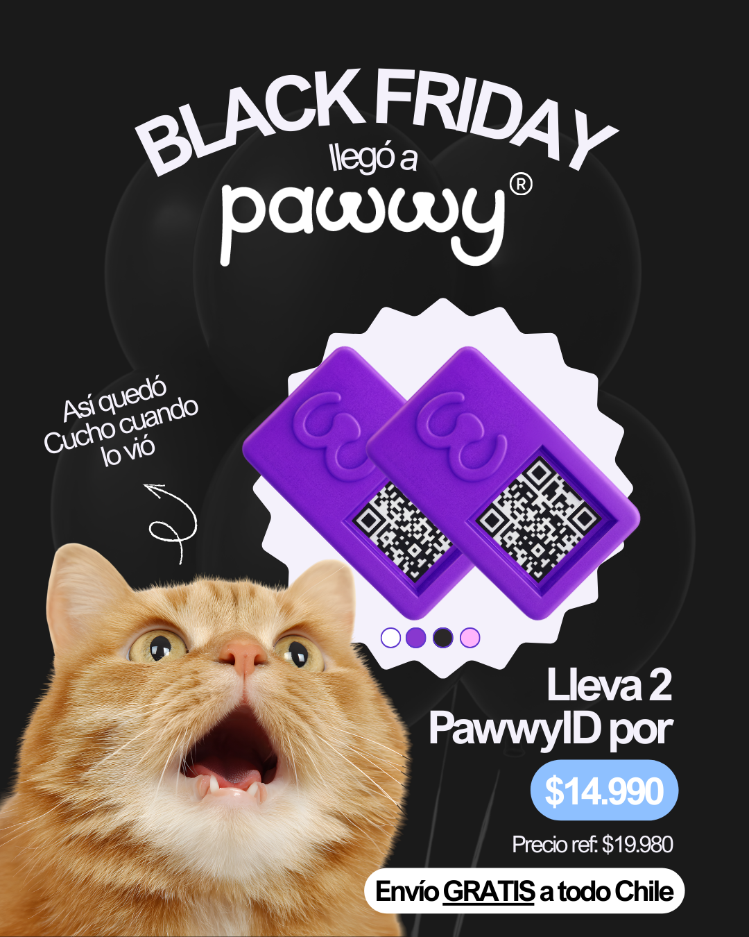 CYBER 2 Pawwy ID – Identificación inteligente para tu mascota