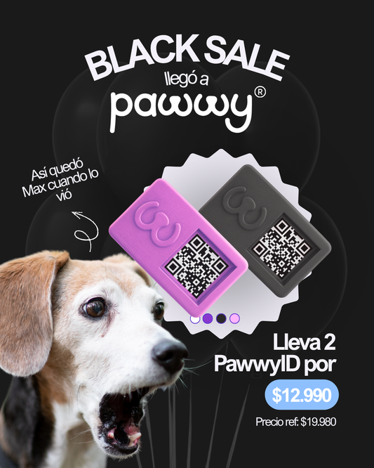 CYBER 2 Pawwy ID – Identificación inteligente para tu mascota