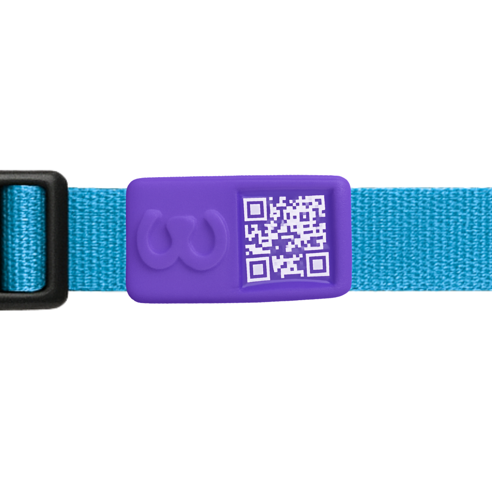 Pawwy ID + Collar