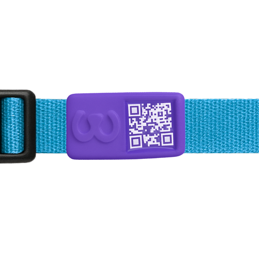 Pawwy ID