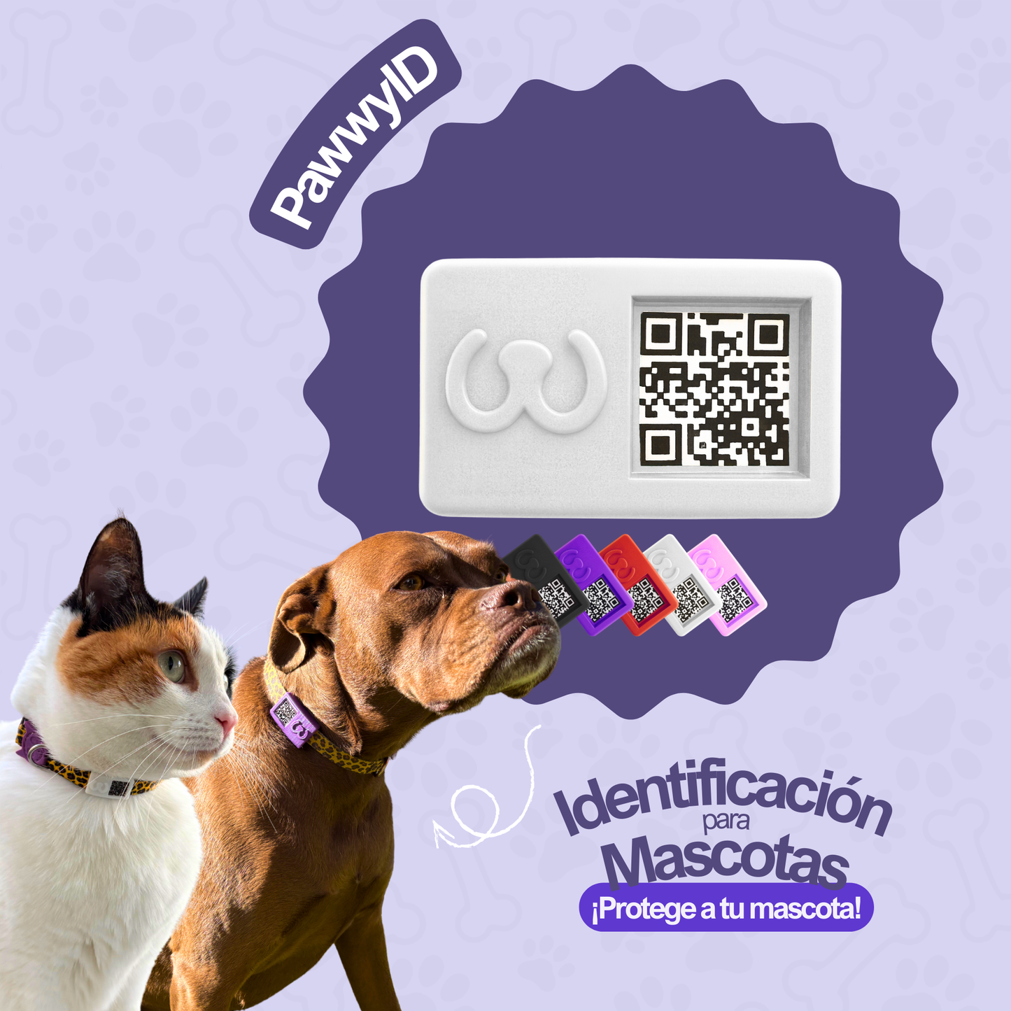 Placa de Identificación - Pawwy ID - QR, Perfil, Carnet de Vacunas y mucho más