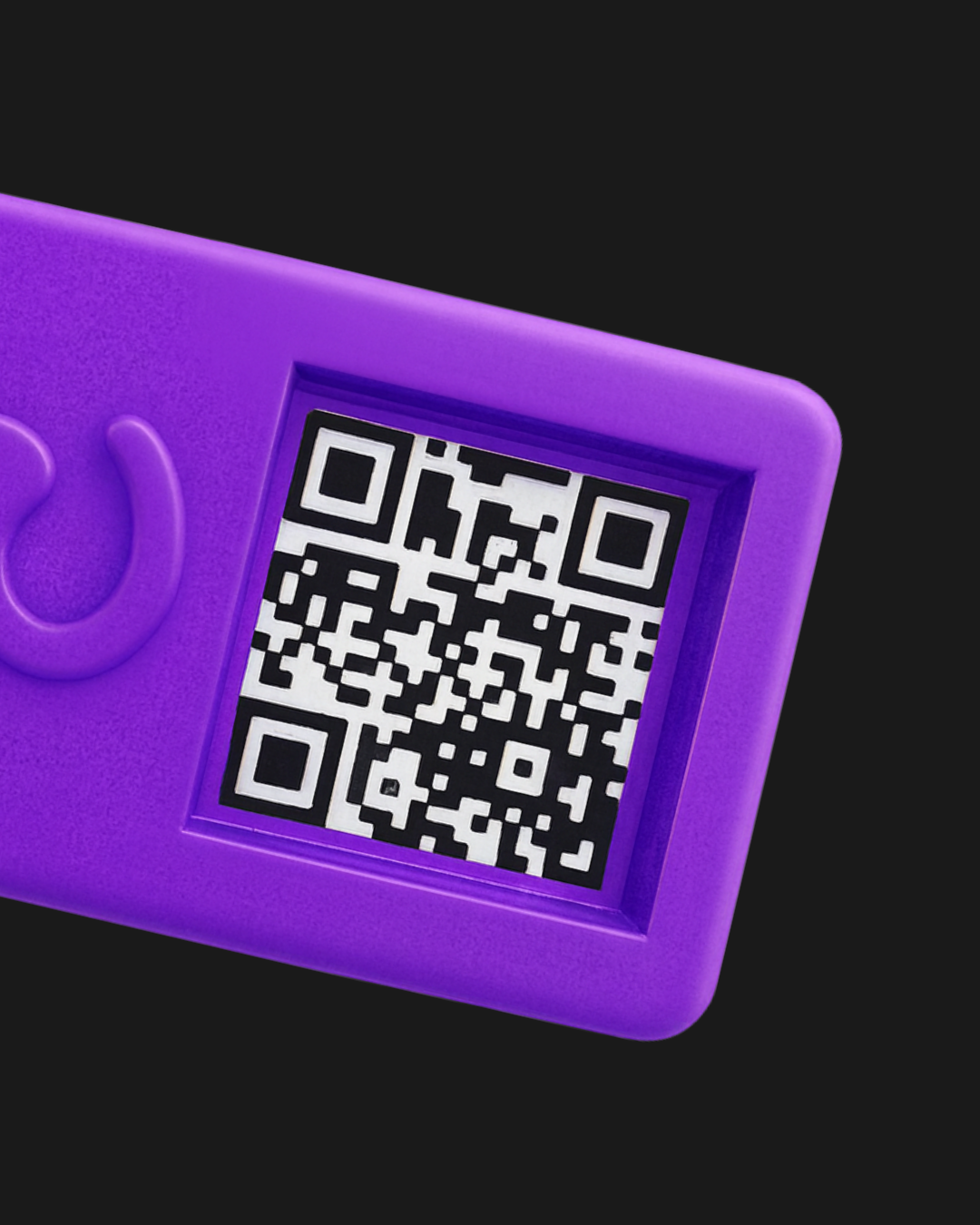 CYBER 2 Pawwy ID – Identificación inteligente para tu mascota