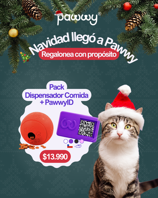 🎄Pack: Dispensador Comida + PawwyID